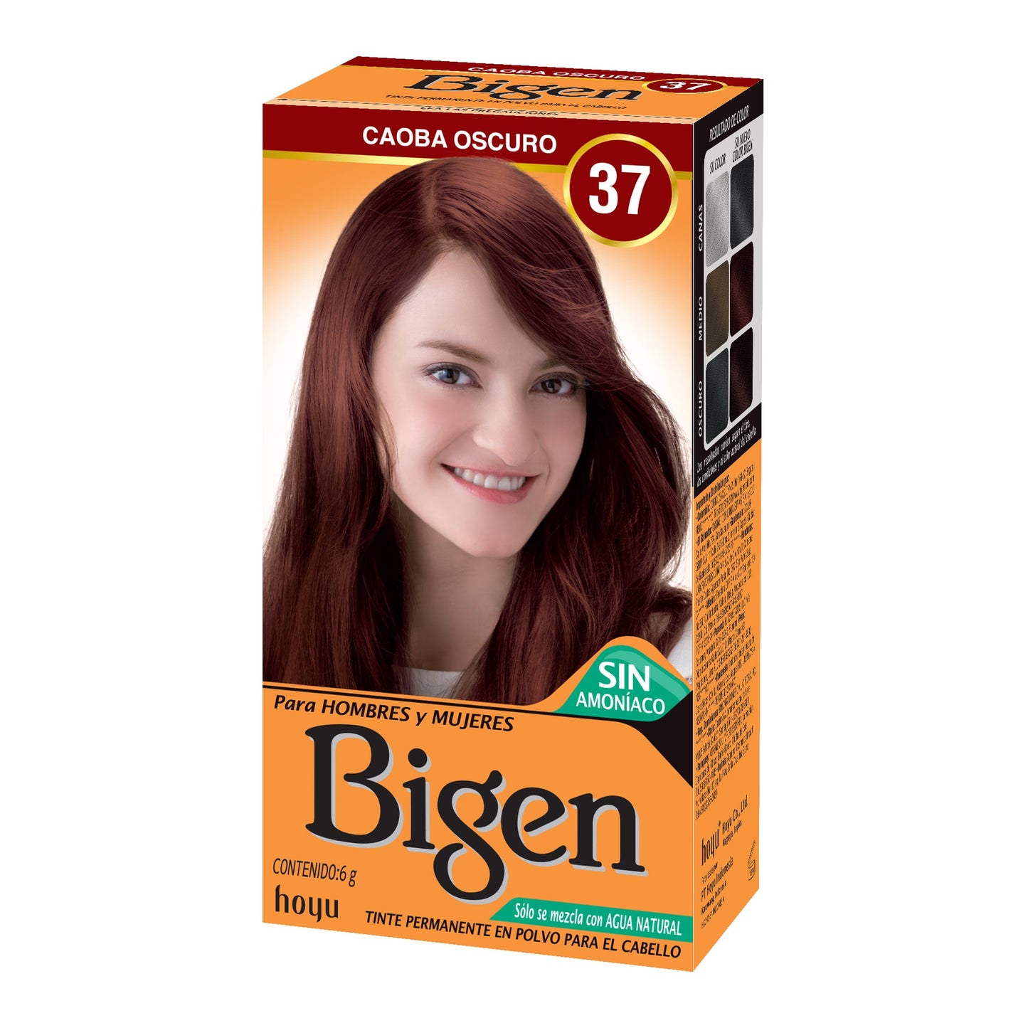 Tinte En Polvo Bigen X 6 g