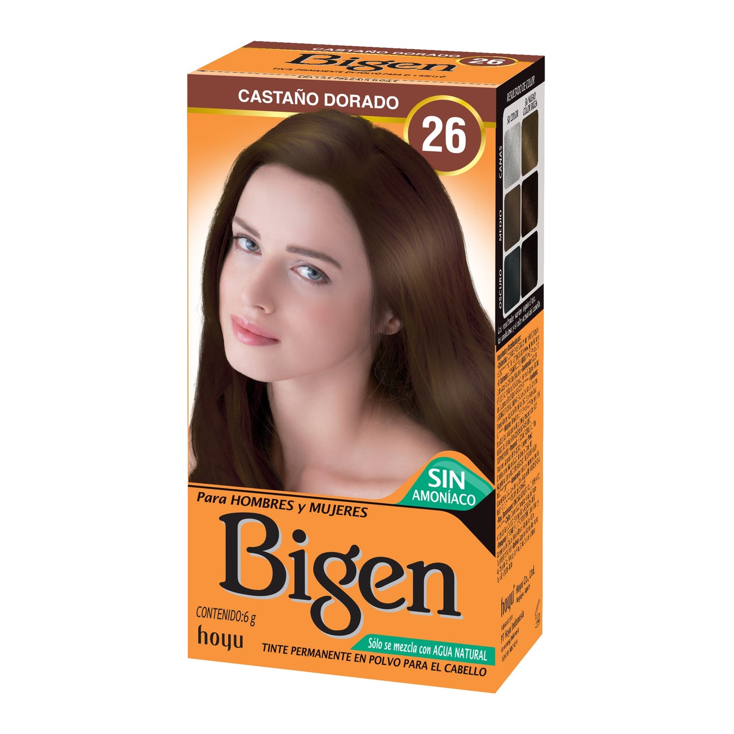 Tinte En Polvo Bigen X 6 g