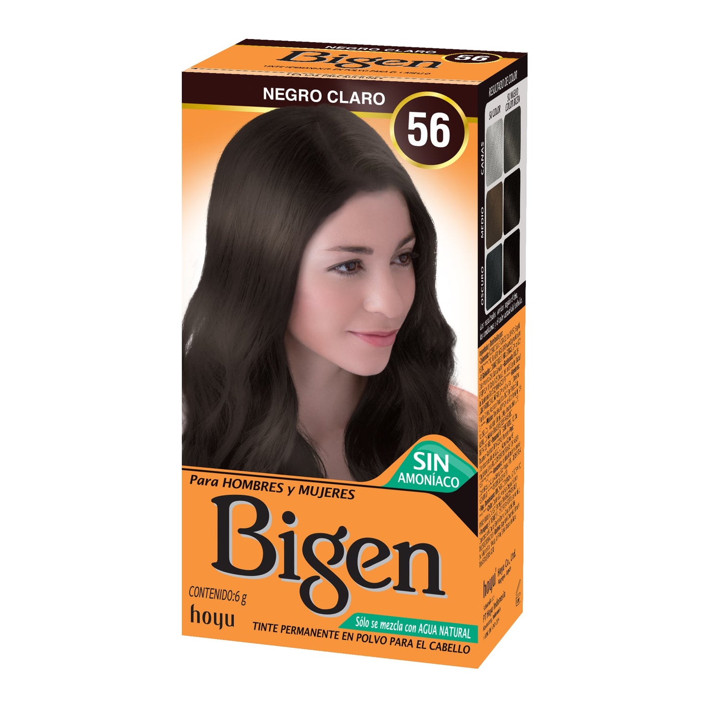 Tinte En Polvo Bigen X 6 g