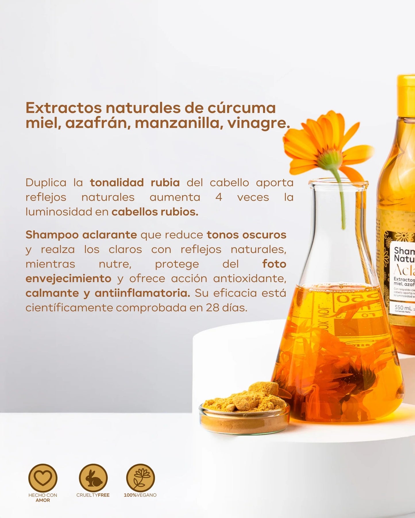 Shampoo Natural Aclarante Menta Hair X 550 mL