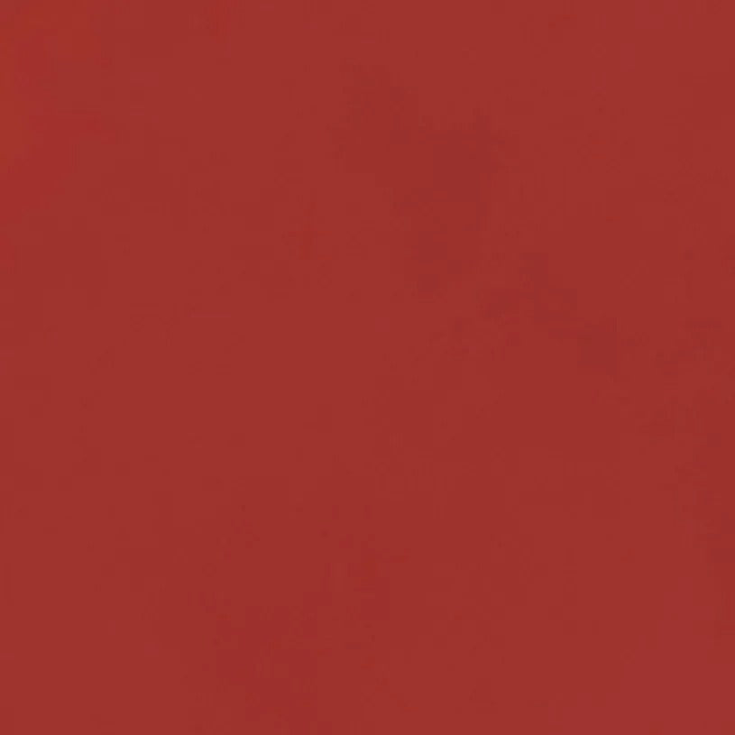Tinta para Labios Skinlicious Samy X 4 Gr