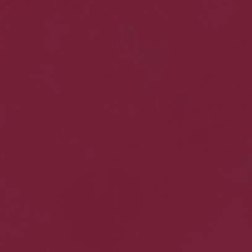 Tinta para Labios Skinlicious Samy X 4 Gr